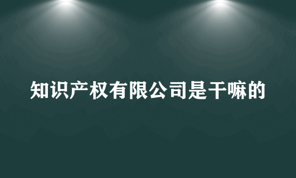 知识产权有限公司是干嘛的