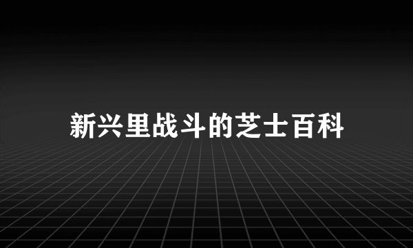 新兴里战斗的芝士百科