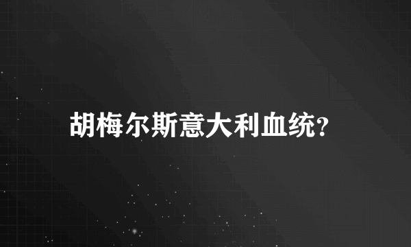 胡梅尔斯意大利血统？