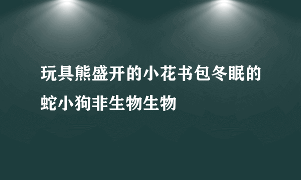 玩具熊盛开的小花书包冬眠的蛇小狗非生物生物