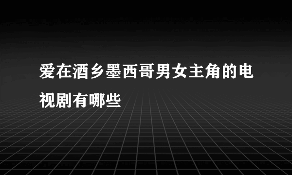 爱在酒乡墨西哥男女主角的电视剧有哪些