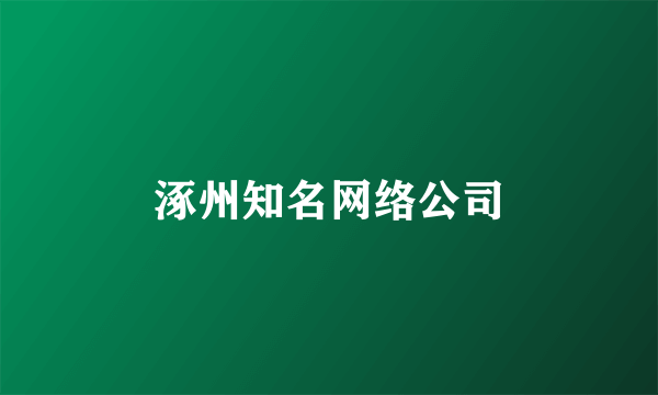 涿州知名网络公司