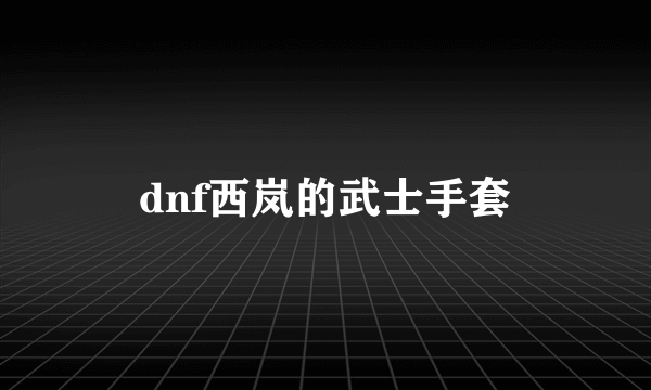 dnf西岚的武士手套