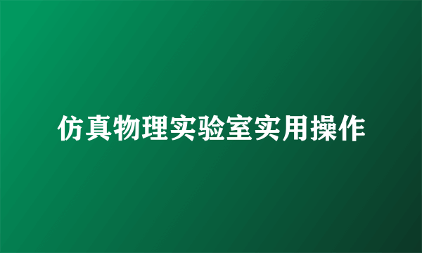 仿真物理实验室实用操作