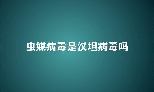 虫媒病毒是汉坦病毒吗