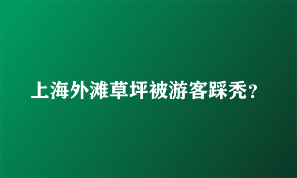 上海外滩草坪被游客踩秃？