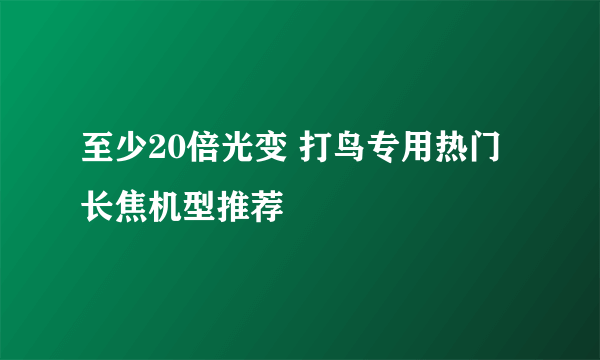 至少20倍光变 打鸟专用热门长焦机型推荐