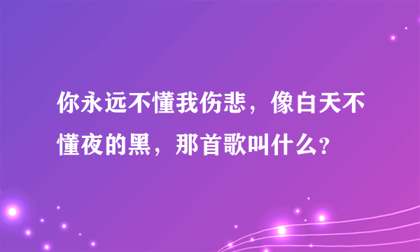 你永远不懂我伤悲，像白天不懂夜的黑，那首歌叫什么？