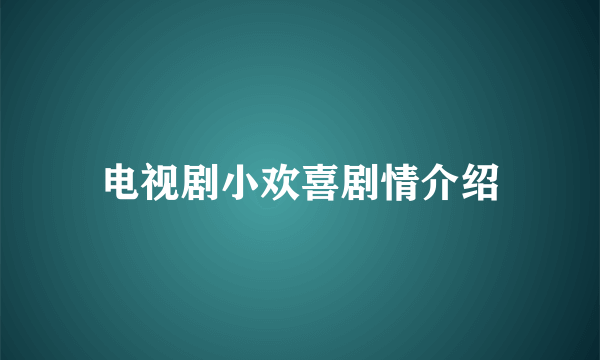 电视剧小欢喜剧情介绍