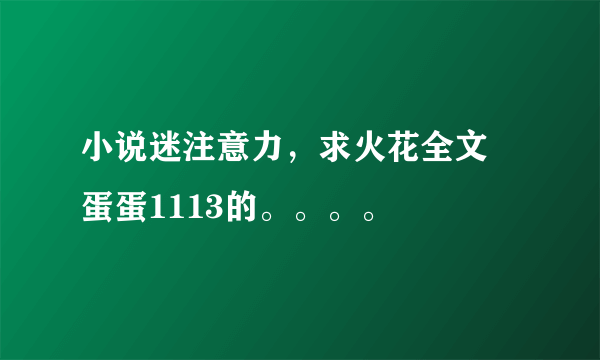 小说迷注意力，求火花全文 蛋蛋1113的。。。。