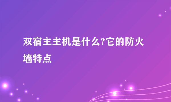 双宿主主机是什么?它的防火墙特点