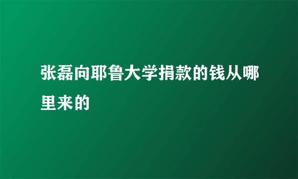 张磊向耶鲁大学捐款的钱从哪里来的