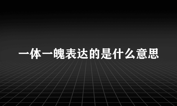 一体一魄表达的是什么意思