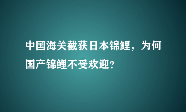 中国海关截获日本锦鲤，为何国产锦鲤不受欢迎？