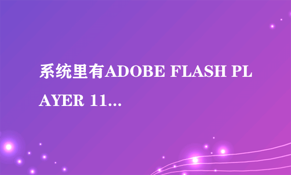 系统里有ADOBE FLASH PLAYER 11 还可以安装FLASH PLAYER 8的软件吗？