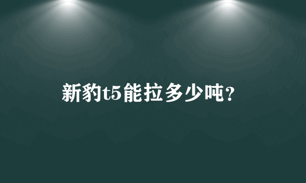 新豹t5能拉多少吨？