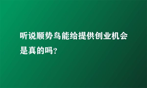 听说顺势鸟能给提供创业机会是真的吗？