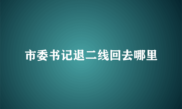 市委书记退二线回去哪里