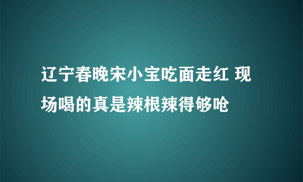 辽宁春晚宋小宝吃面走红 现场喝的真是辣根辣得够呛