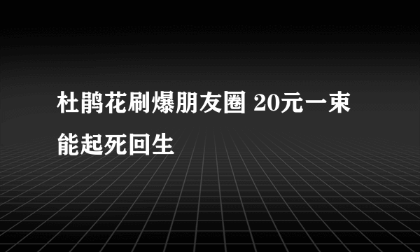 杜鹃花刷爆朋友圈 20元一束能起死回生