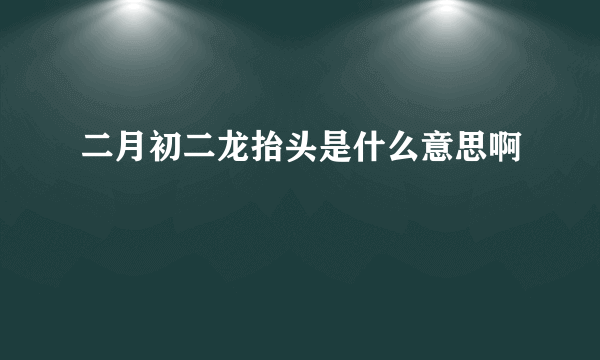 二月初二龙抬头是什么意思啊