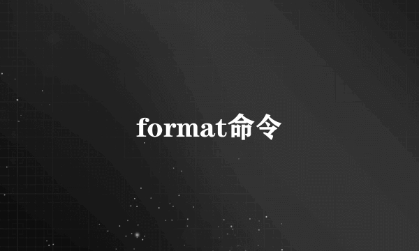 format命令