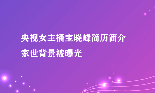 央视女主播宝晓峰简历简介  家世背景被曝光