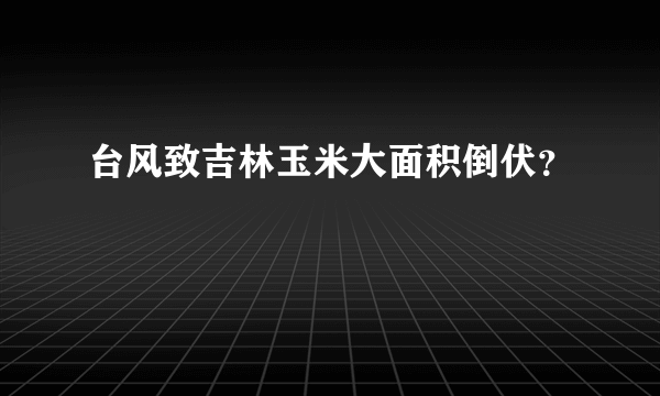 台风致吉林玉米大面积倒伏？