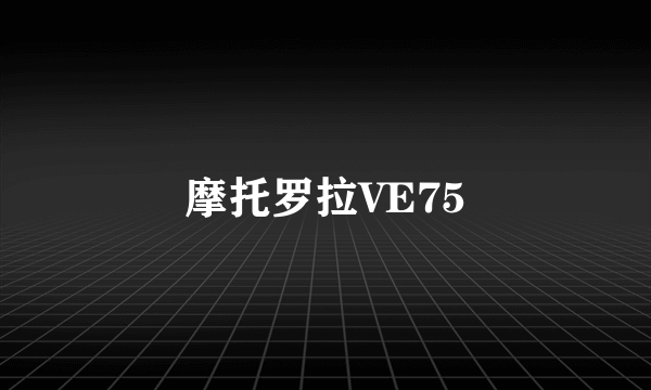 摩托罗拉VE75