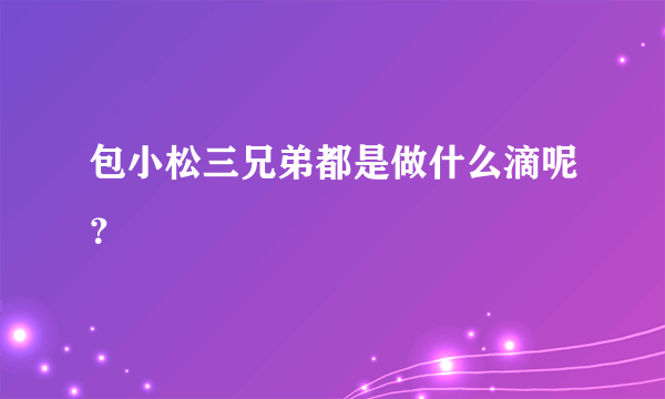 包小松三兄弟都是做什么滴呢？