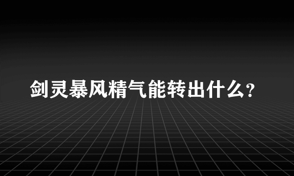 剑灵暴风精气能转出什么？