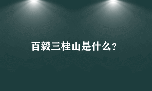 百毅三桂山是什么？