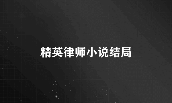 精英律师小说结局