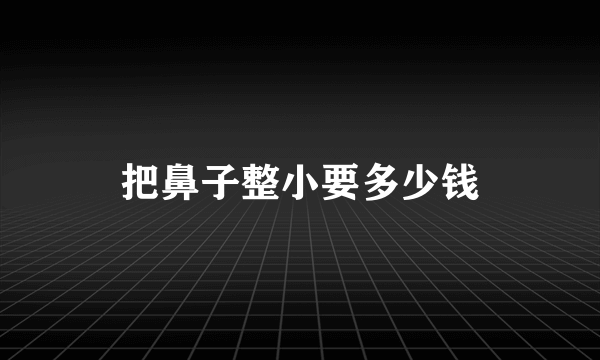 把鼻子整小要多少钱