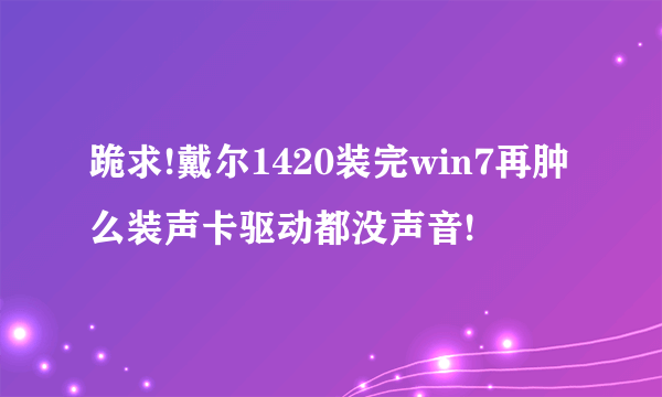 跪求!戴尔1420装完win7再肿么装声卡驱动都没声音!