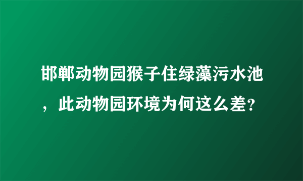 邯郸动物园猴子住绿藻污水池，此动物园环境为何这么差？