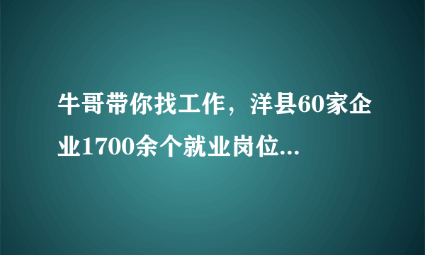 牛哥带你找工作，洋县60家企业1700余个就业岗位任你选！