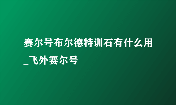 赛尔号布尔德特训石有什么用_飞外赛尔号