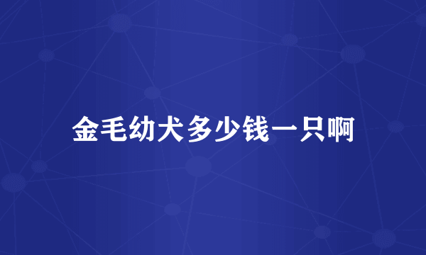 金毛幼犬多少钱一只啊