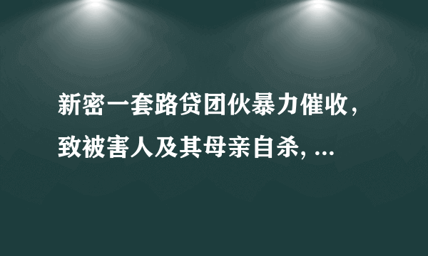 新密一套路贷团伙暴力催收，致被害人及其母亲自杀, 你怎么看？