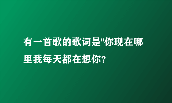 有一首歌的歌词是