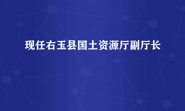 现任右玉县国土资源厅副厅长