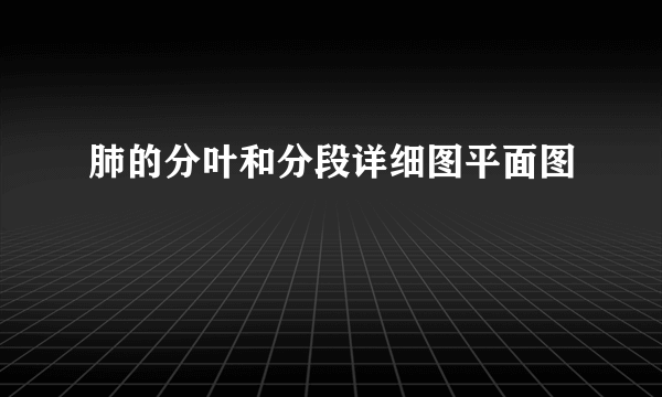 肺的分叶和分段详细图平面图