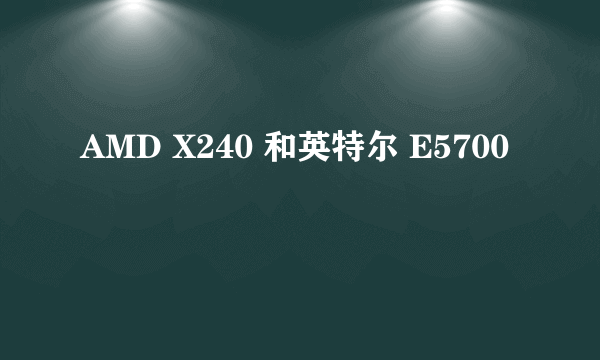 AMD X240 和英特尔 E5700