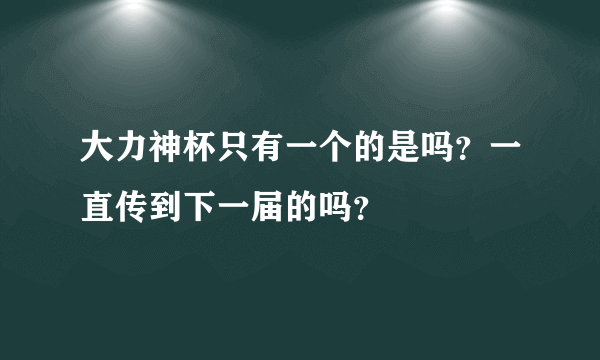 大力神杯只有一个的是吗？一直传到下一届的吗？