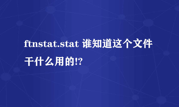 ftnstat.stat 谁知道这个文件干什么用的!?