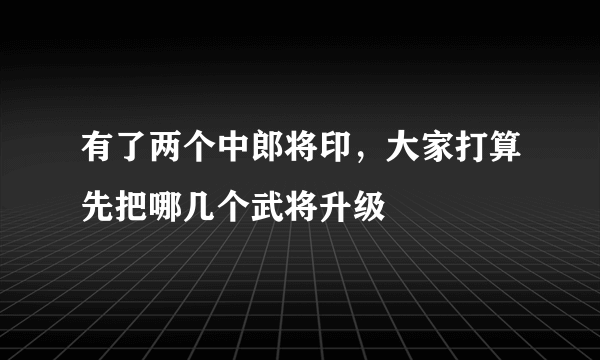 有了两个中郎将印，大家打算先把哪几个武将升级