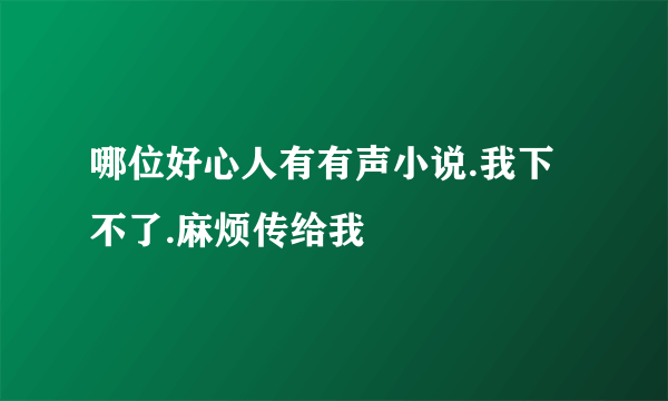 哪位好心人有有声小说.我下不了.麻烦传给我