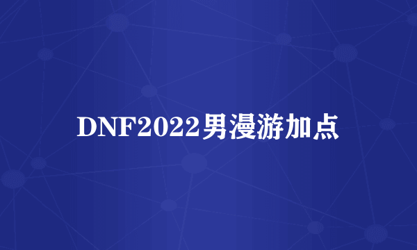 DNF2022男漫游加点