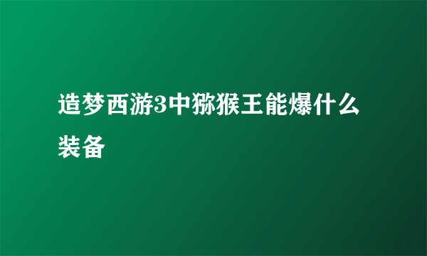 造梦西游3中猕猴王能爆什么装备